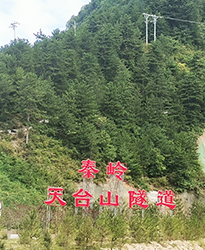 秦嶺天臺山隧道項(xiàng)目如何提高功率因數(shù)